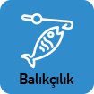Balıkçılık
